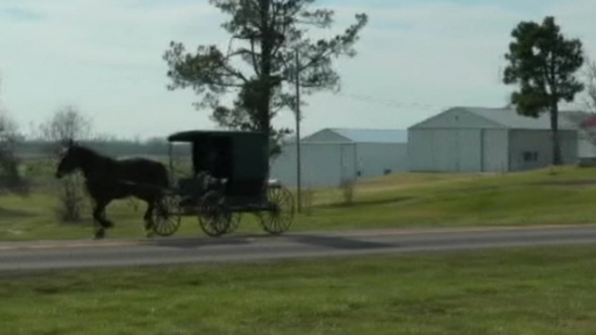 Religieuze Groep Betaalt Geen Boetes religieuze-groep-betaalt-geen-boetes