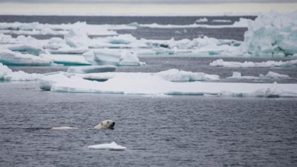Nog nooit zo weinig ijs op de Noordpool