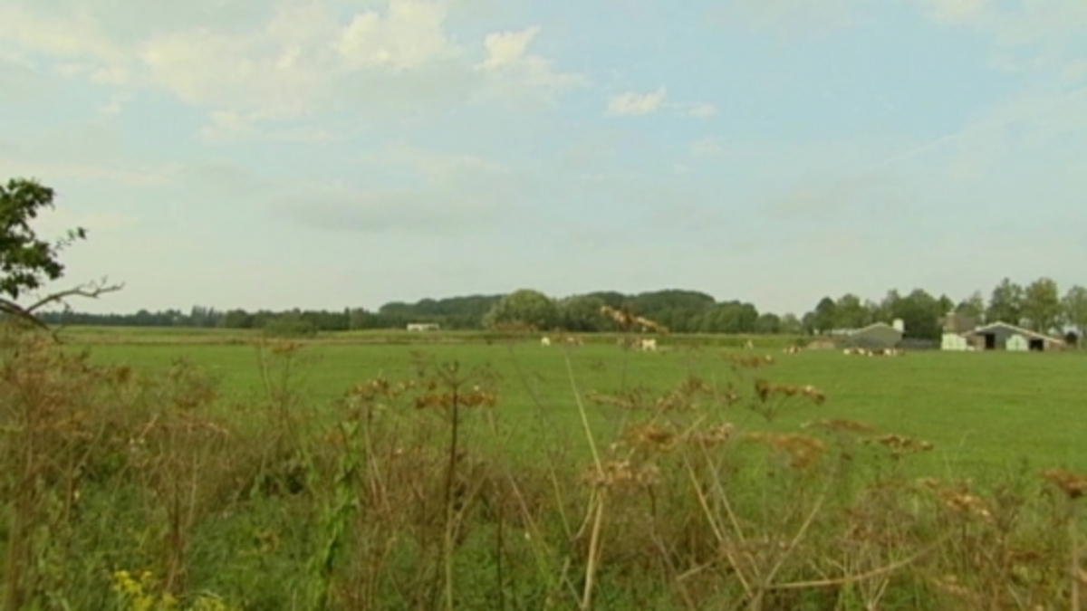 'In Kekerdom gaan nu de wildste geruchten rond'