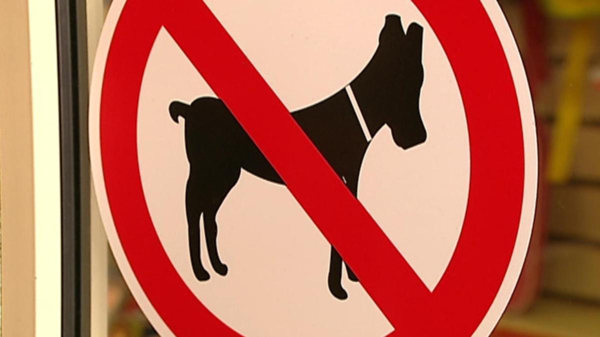 Geleidehonden vaak niet welkom