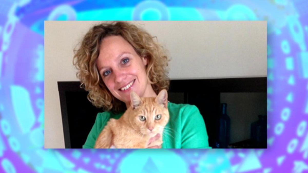 Baasje van kat krijgt per ongeluk chip