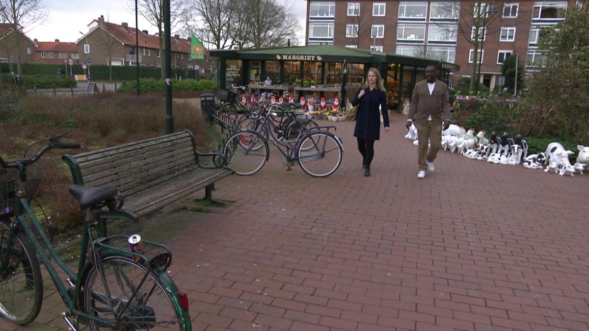 Hoe bewijs je dat je homo bent?