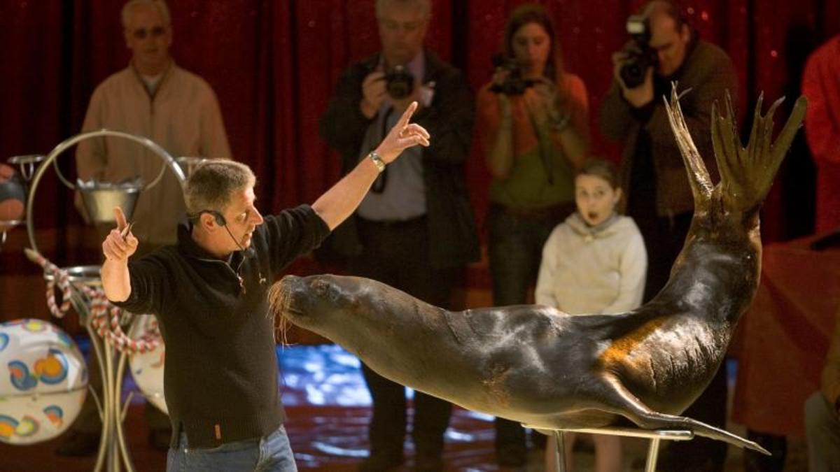 'Stop met circusdieren'
