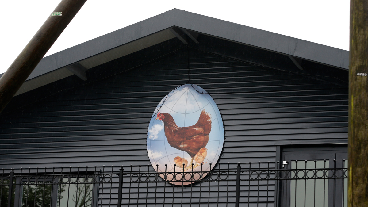 Omliggende boerderijen niet besmet