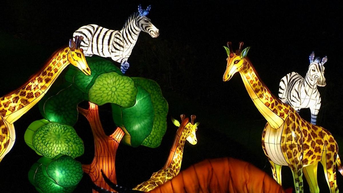 Lichtgevende dieren in de dierentuin