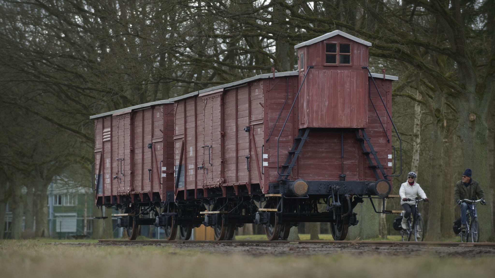 De Bevrijde Joden Van Kamp Westerbork Nos