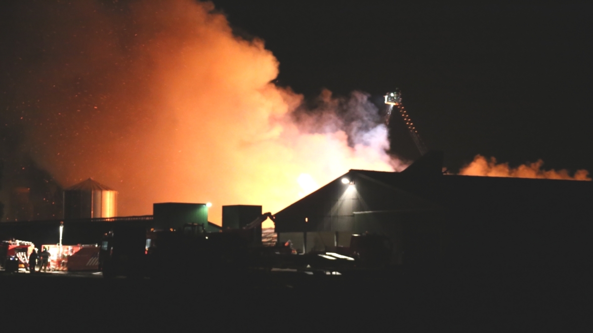 Grote brand kippenboerderij Ysselsteyn