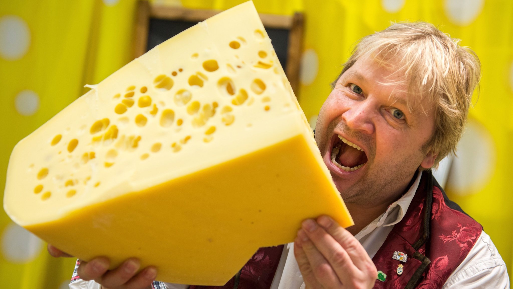 Mysterie verdwijnende gaten Zwitserse kaas opgelost NOS
