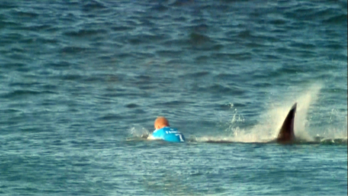 Haai valt surfkampioen aan tijdens wedstrijd