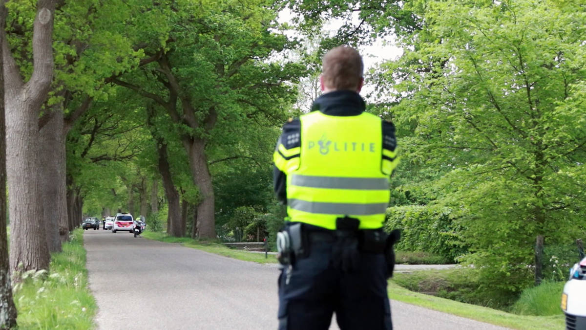 Een van de ontsnapte tijgers geraakt met verdovingsschot