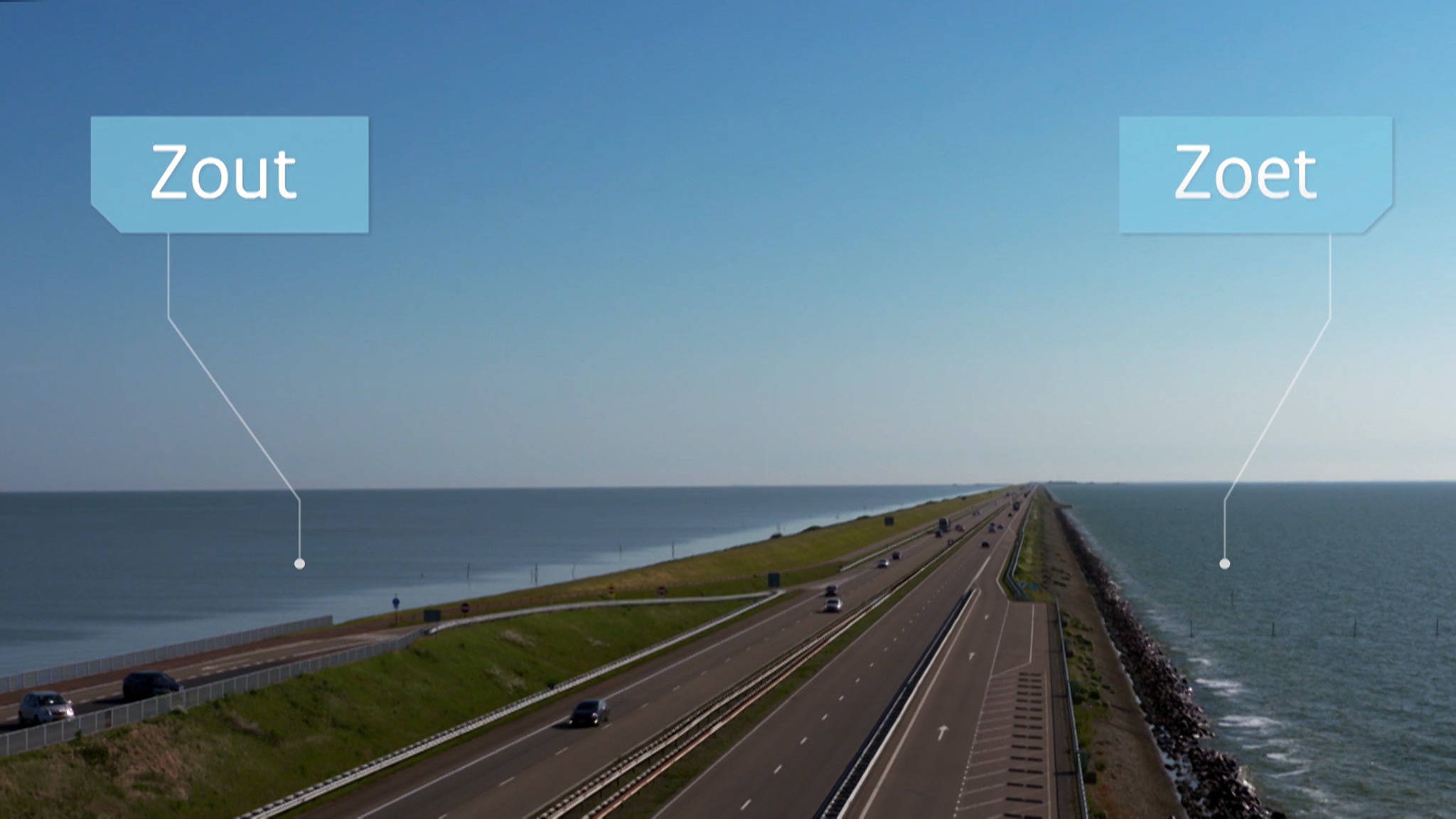 350 miljoen vissen kunnen weer veilig van zoet naar zout water | NOS