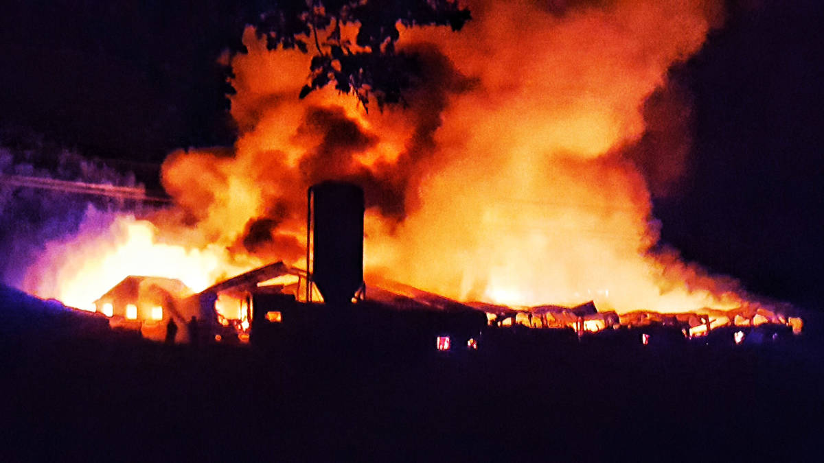 15.000 kippen dood bij brand pluimveehouderij Orvelte
