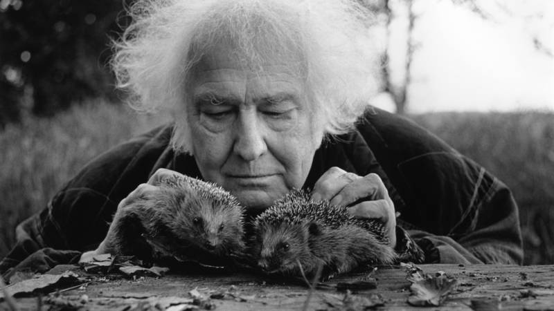 Biograaf van Jan Wolkers krijgt Nederlandse Biografieprijs