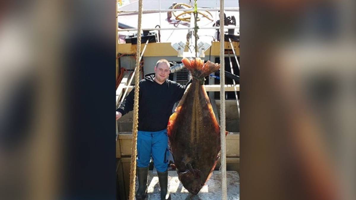 Vis Groot Visser vangt vis van 1,82 meter lang