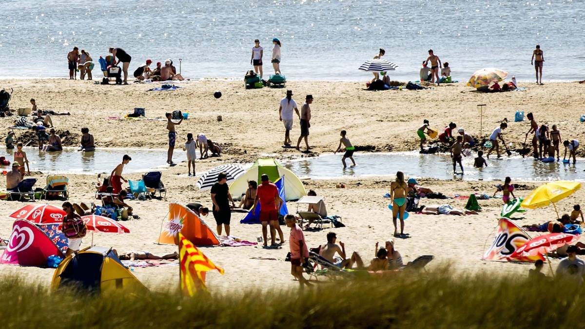 Nederland is geen belastingparadijs maar een 'verhullingsparadijs'