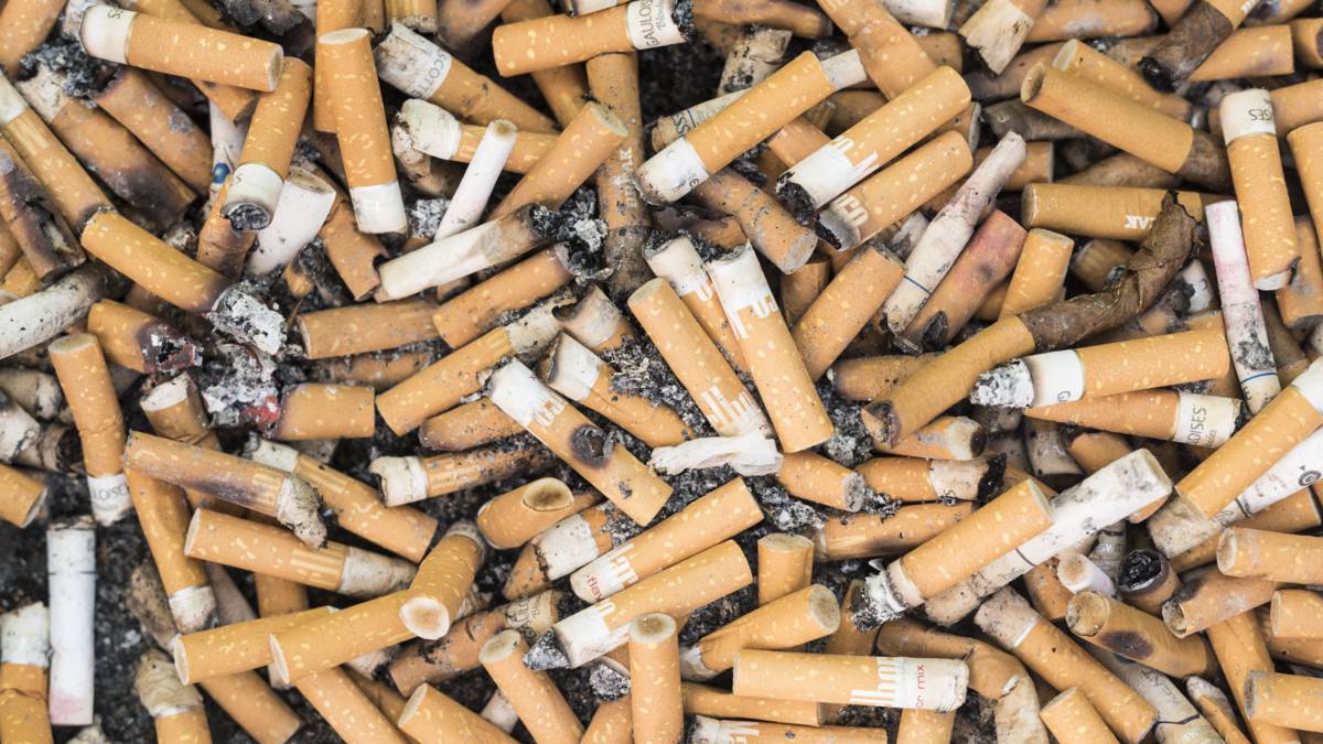 Twintig jaar roken? 'Je longen worden Emmentalergatenkaas' NOS Twintig jaar roken? 'Je longen worden Emmentalergatenkaas' NOS