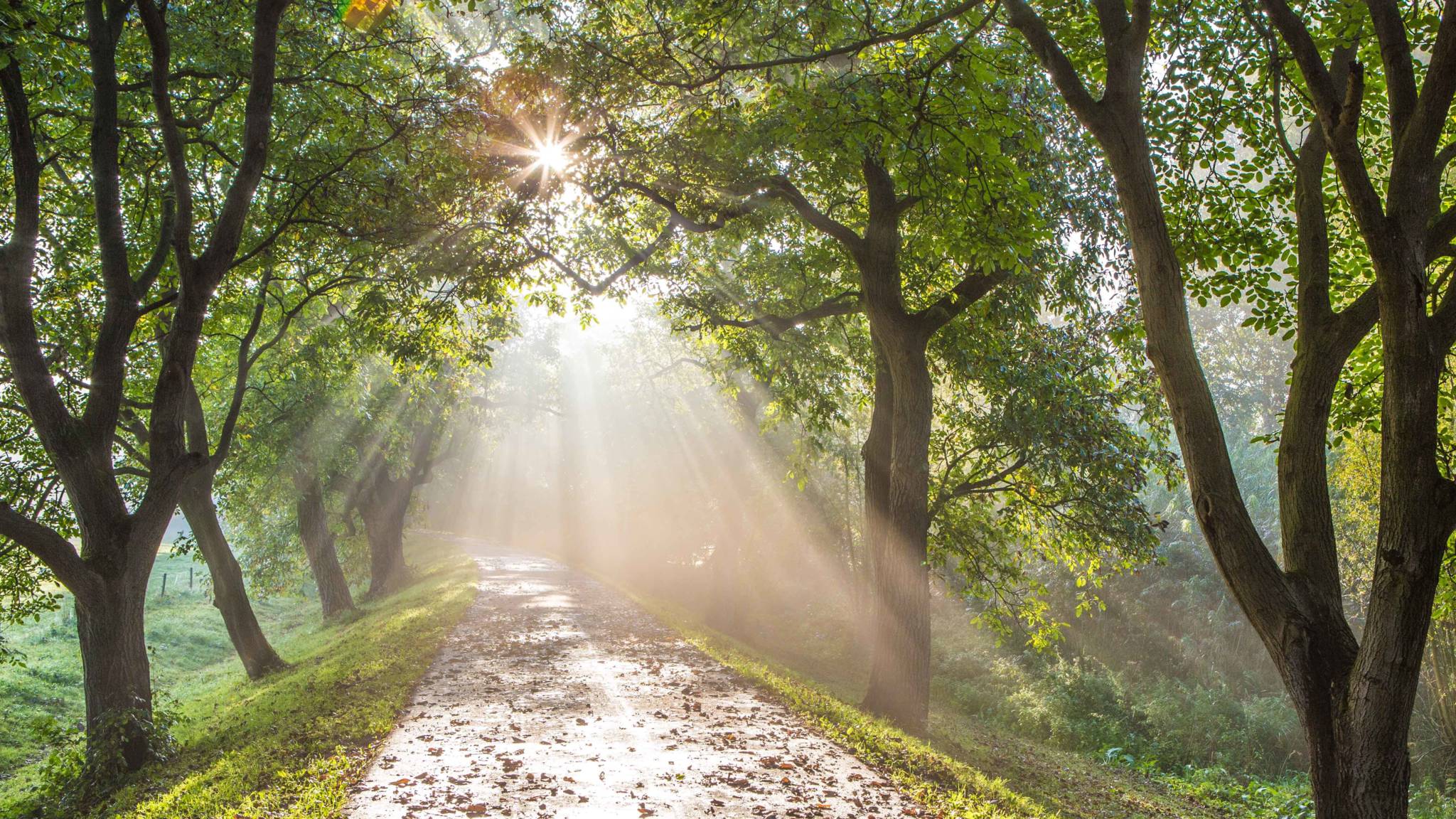 Herfstvakantie begint met een zonnig en warm weekend NOS