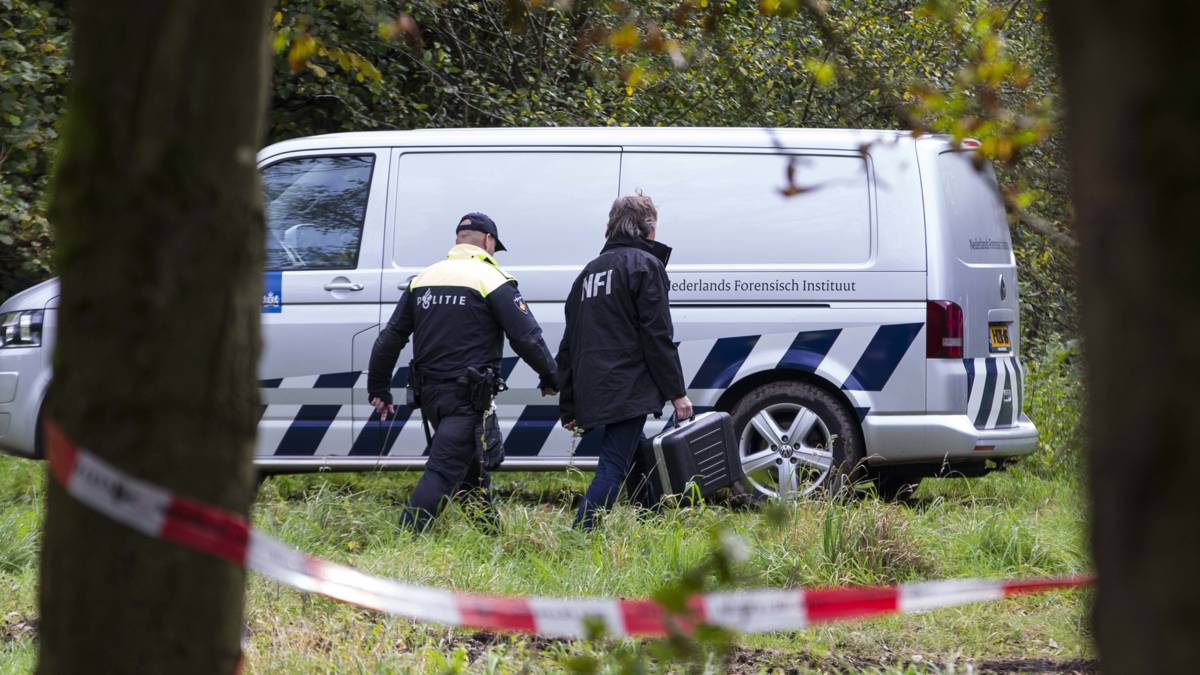 'Verdachte zaak Faber had tbs moeten krijgen'
