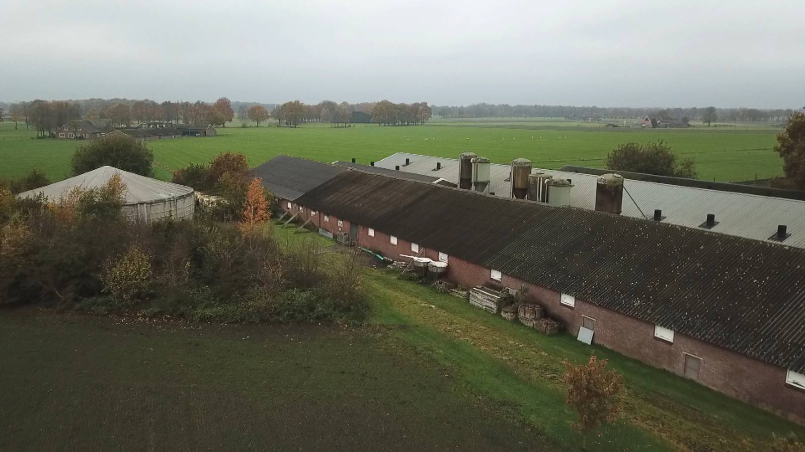 In Een Op De Drie Gemeenten Is Een Criminele Suikeroom Actief Nieuwsuur