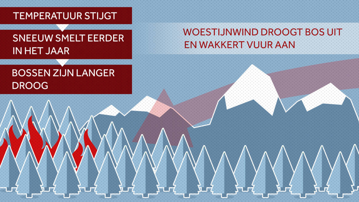 Zijn bosbranden het nieuwe normaal in WestAmerika? Zijn bosbranden het nieuwe normaal in WestAmerika?