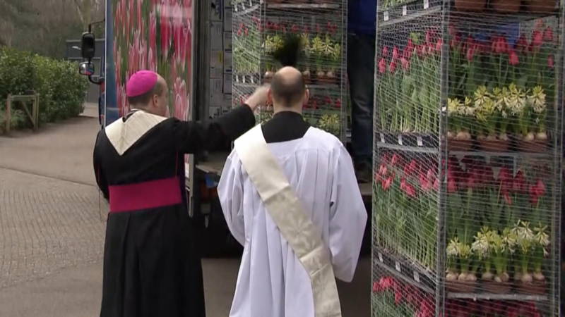 Extra bescherming voor de bloemen van de paus | NOS Jeugdjournaal