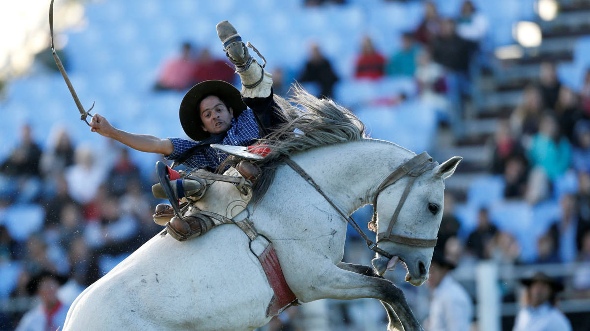 In beeld: gaucho's in Uruguay strijden om rodeo-titel