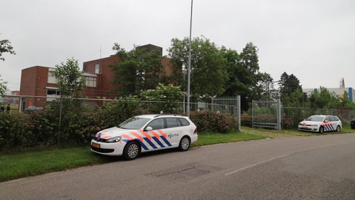 Hennepkwekerij met duizenden planten in oud-hoofdkantoor Avebe