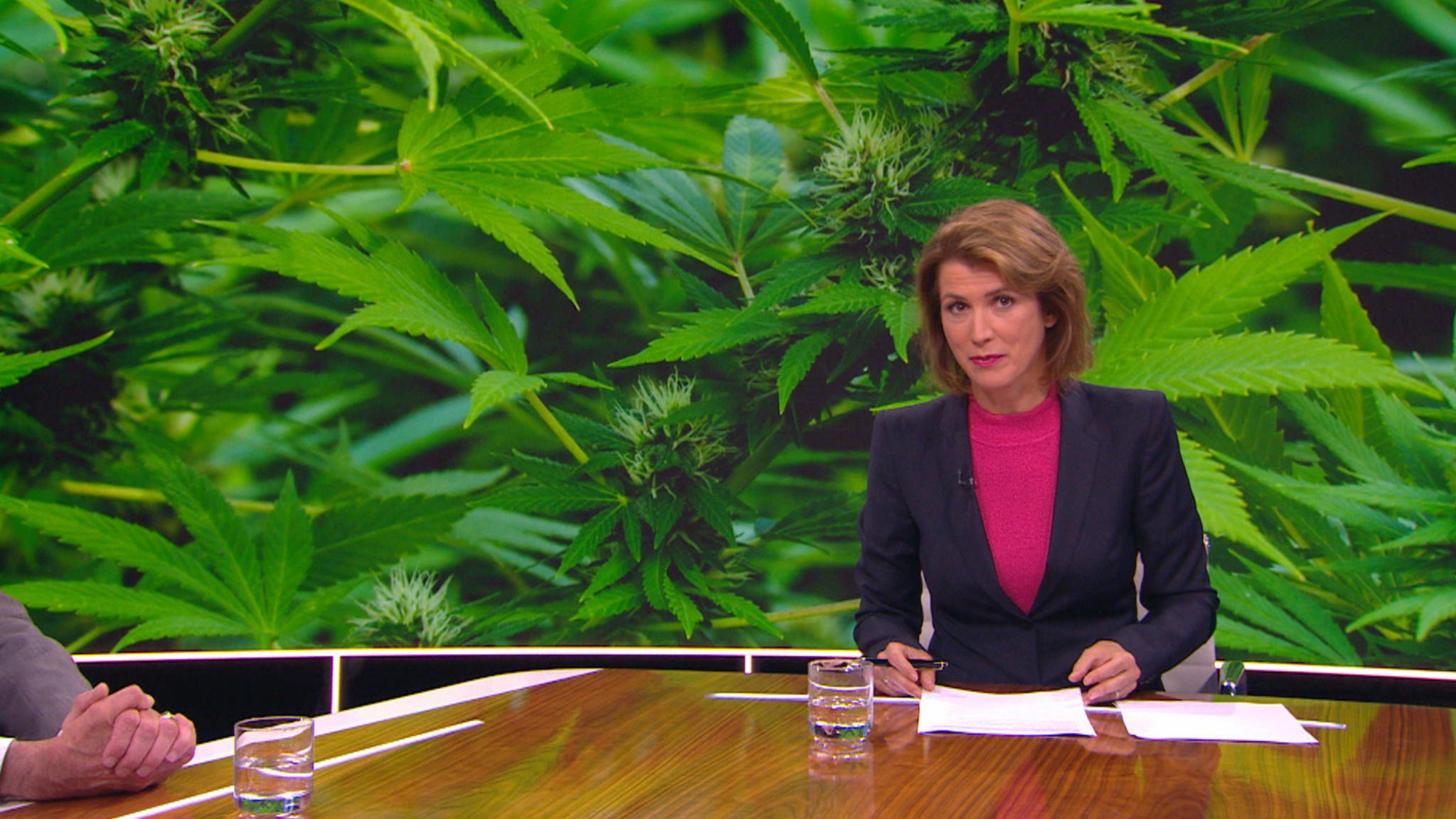 Hoe moet een essay eruit zien 05 image