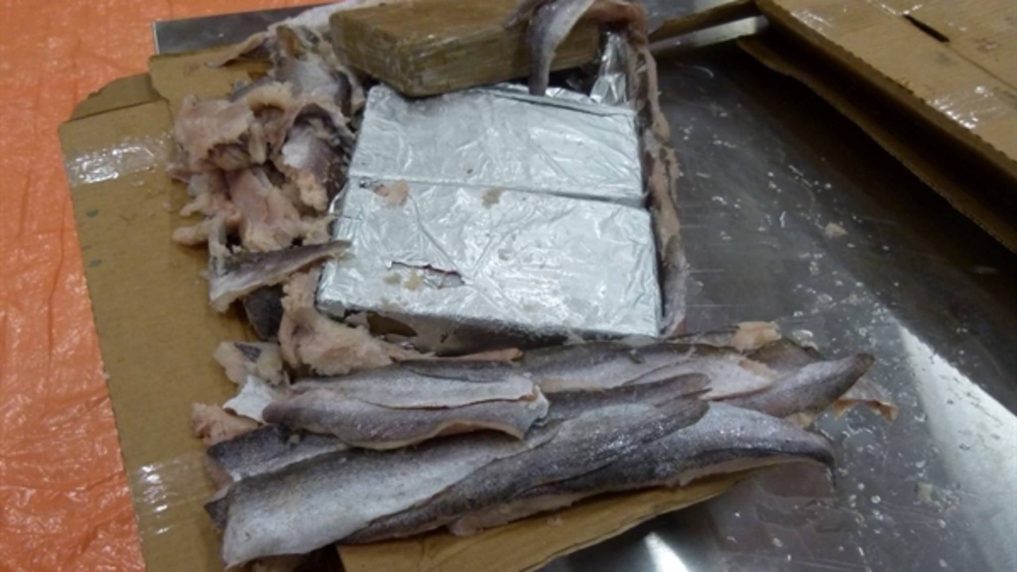 1100 Kilo Coca ne Ontdekt In Container Met Bevroren Vis NOS