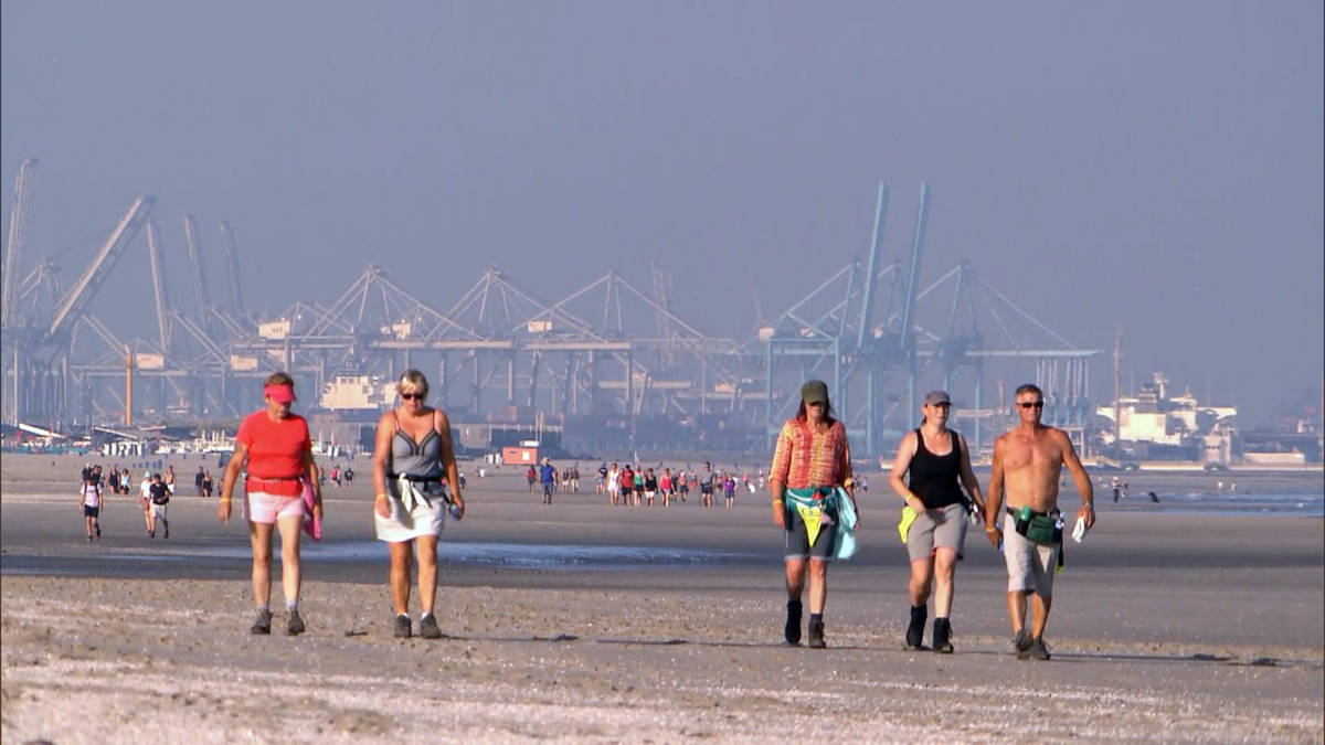Strand6daagse van start: wandelen van Hoek van Holland naar Den Helder