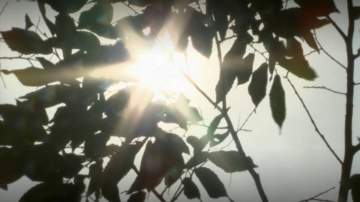 RIVM zou graag een hitteplan voor gemeenten zien