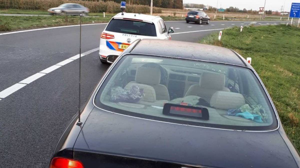 Man (61) reed twintig jaar zonder rijbewijs Man (61) reed twintig jaar zonder rijbewijs