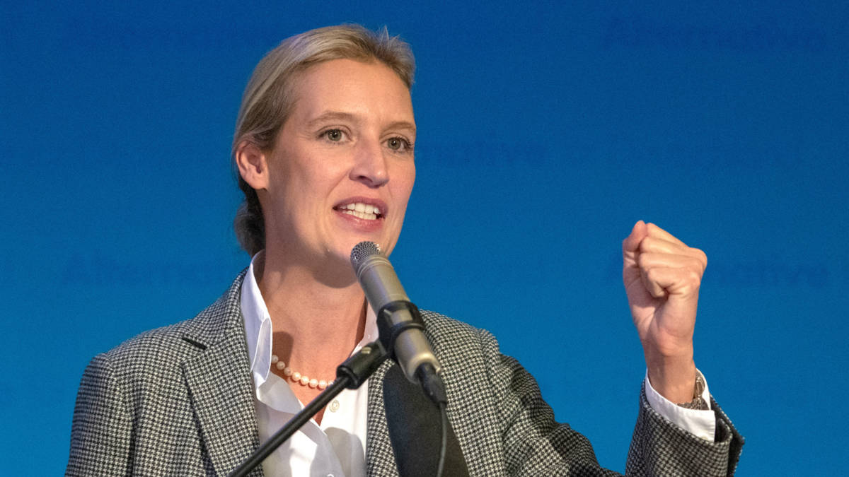 Nederlandse stichting doneerde nog meer aan AfD