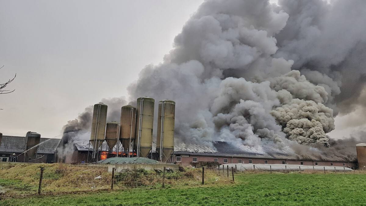 Grote stalbrand in Biezenmortel onder controle, meeste varkens dood