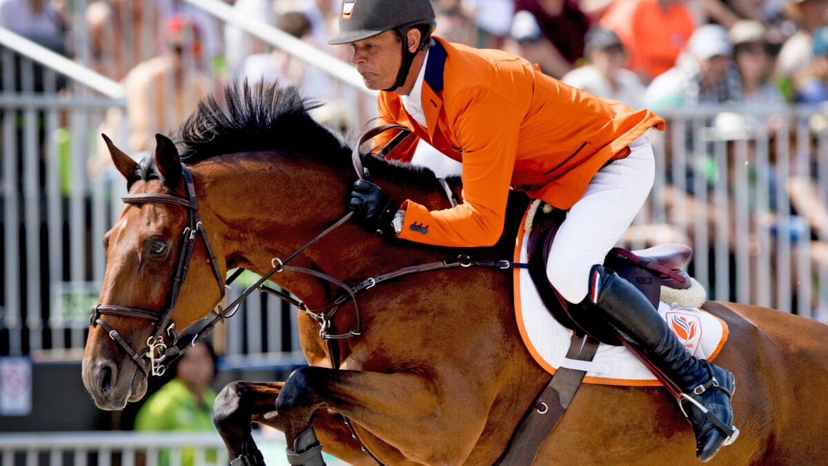 Toppaard Zenith van Dubbeldam gaat met pensioen