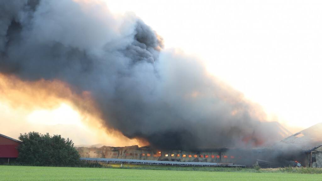 40.000 kippen omgekomen bij schuurbrand in Noord-Friesland