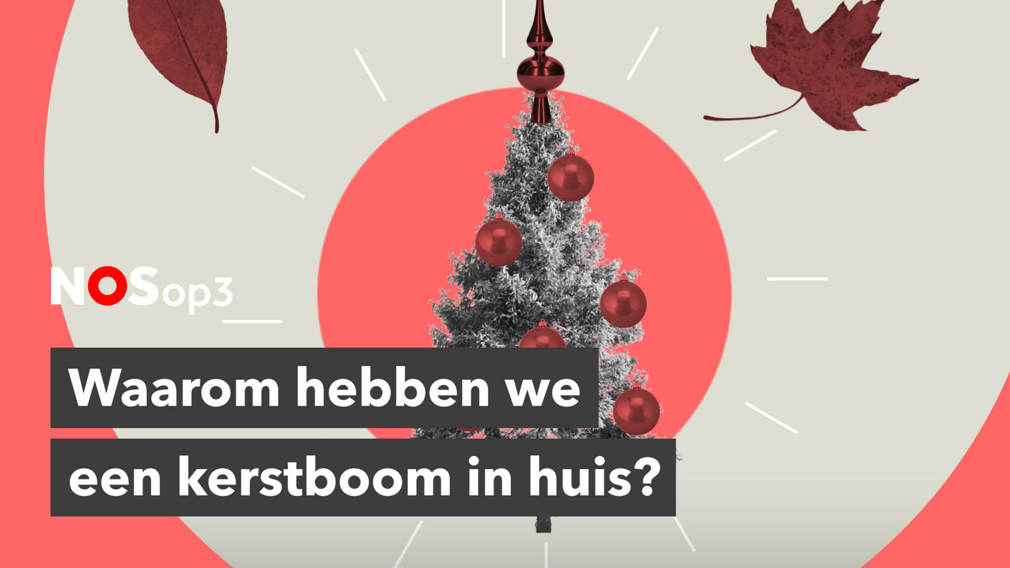 Waarom hebben we een kerstboom in