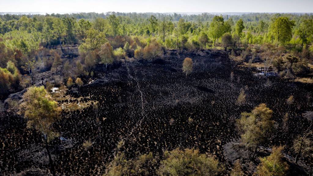 De brand heeft vrijwel de hele Deurnese Peel in de as gelegd