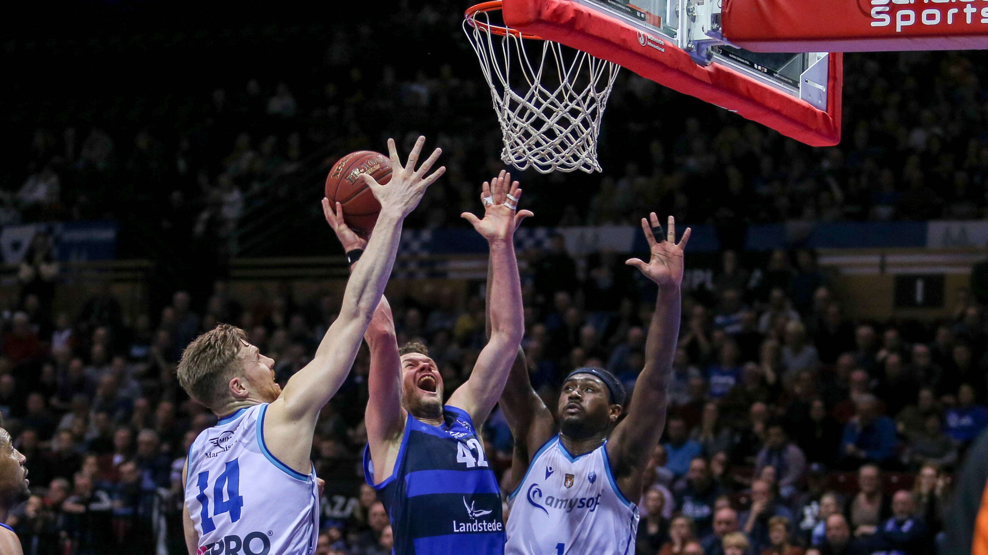 Dutch Basketball League gewoon van start komend weekeinde NOS