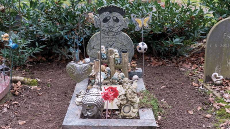 DIT HEEFT HELEMAAL NIETS TE MAKEN MET SRA-MISBRUIK EN DE BLOEMENLEGGERS IN BODEGRAVEN!