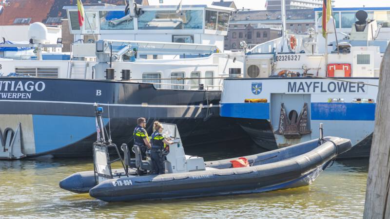 Zwemster komt om in haven Vlaardingen.
