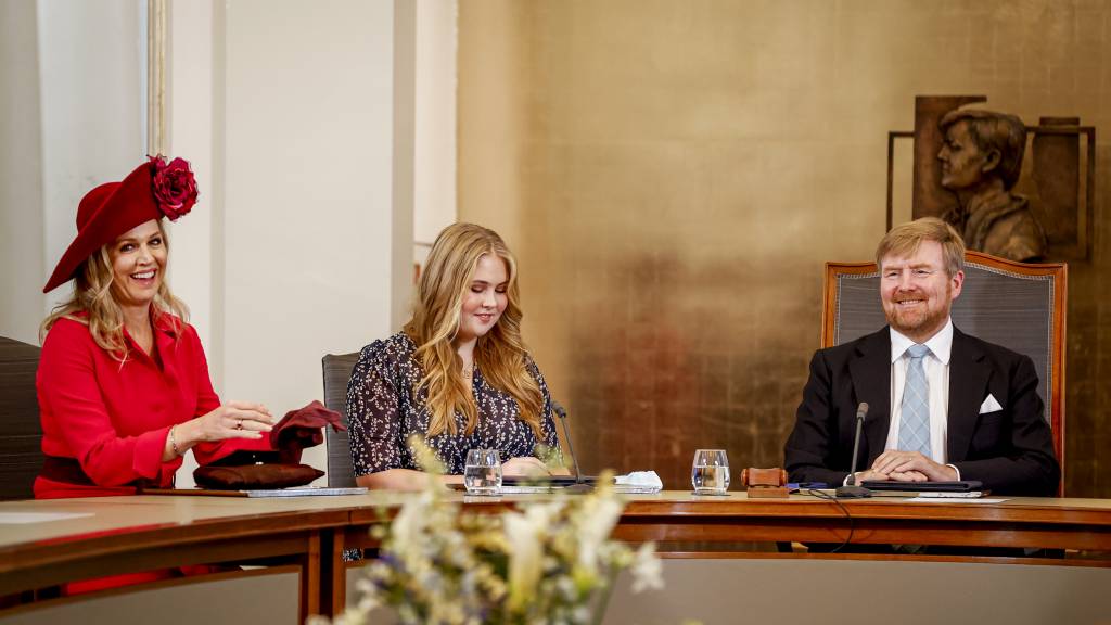 'Door deel te nemen aan Raad van State kun je in theorie invloed