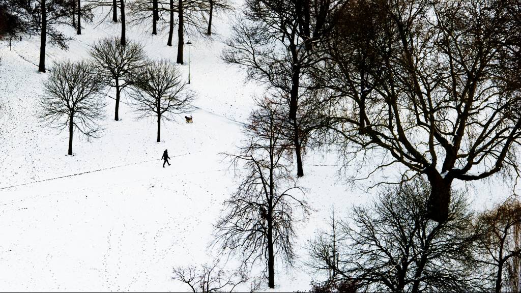 Gaat het sneeuwen tijdens Kerst? Veel mensen hopen van wel Gaat het sneeuwen tijdens Kerst? Veel mensen hopen van wel