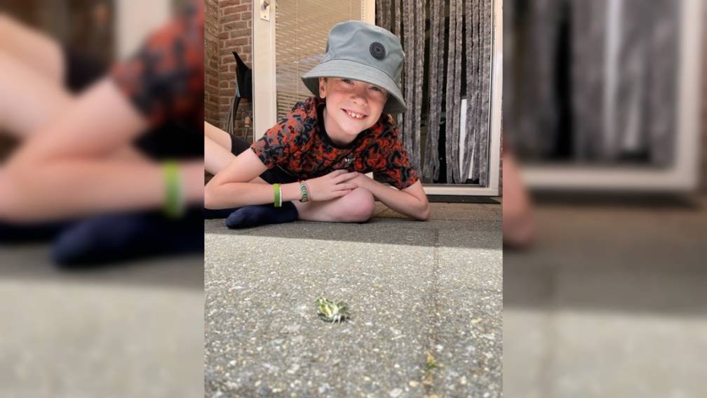 Levi vindt zeldzame vlinder in zijn achtertuin