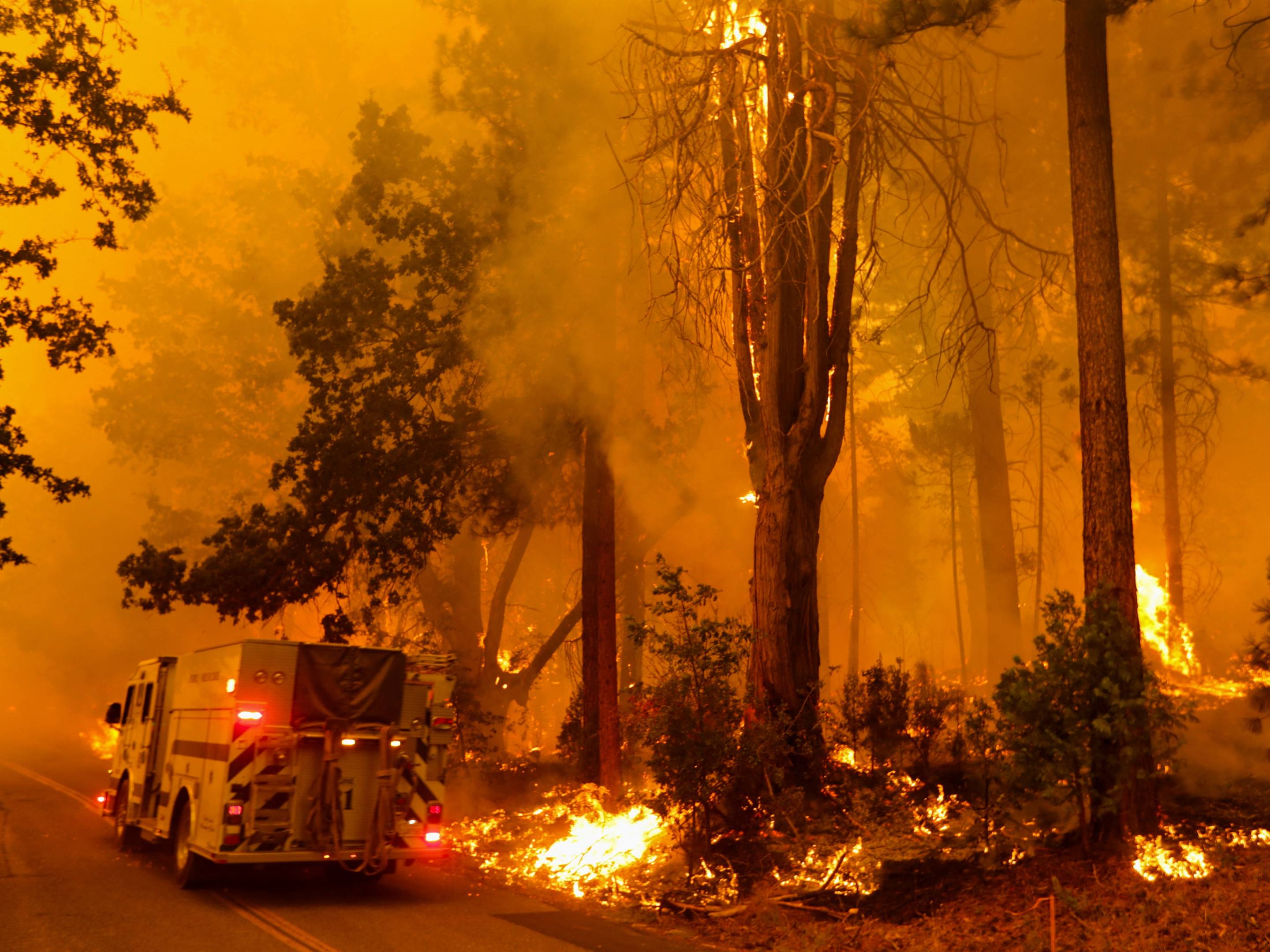 Grote brand in Californië kost twee mensen het leven: 
