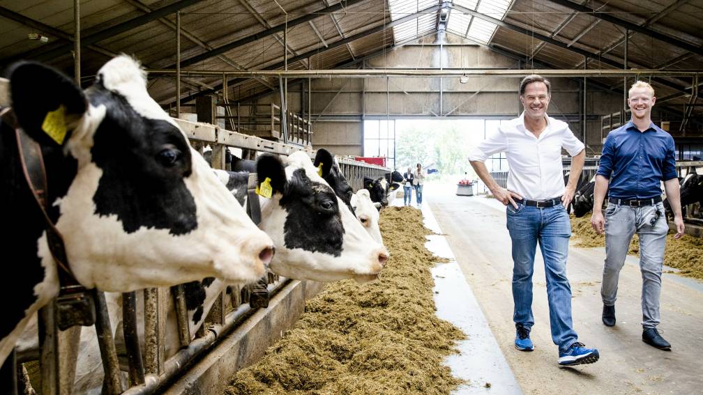 Boeren en politici praten over stikstof