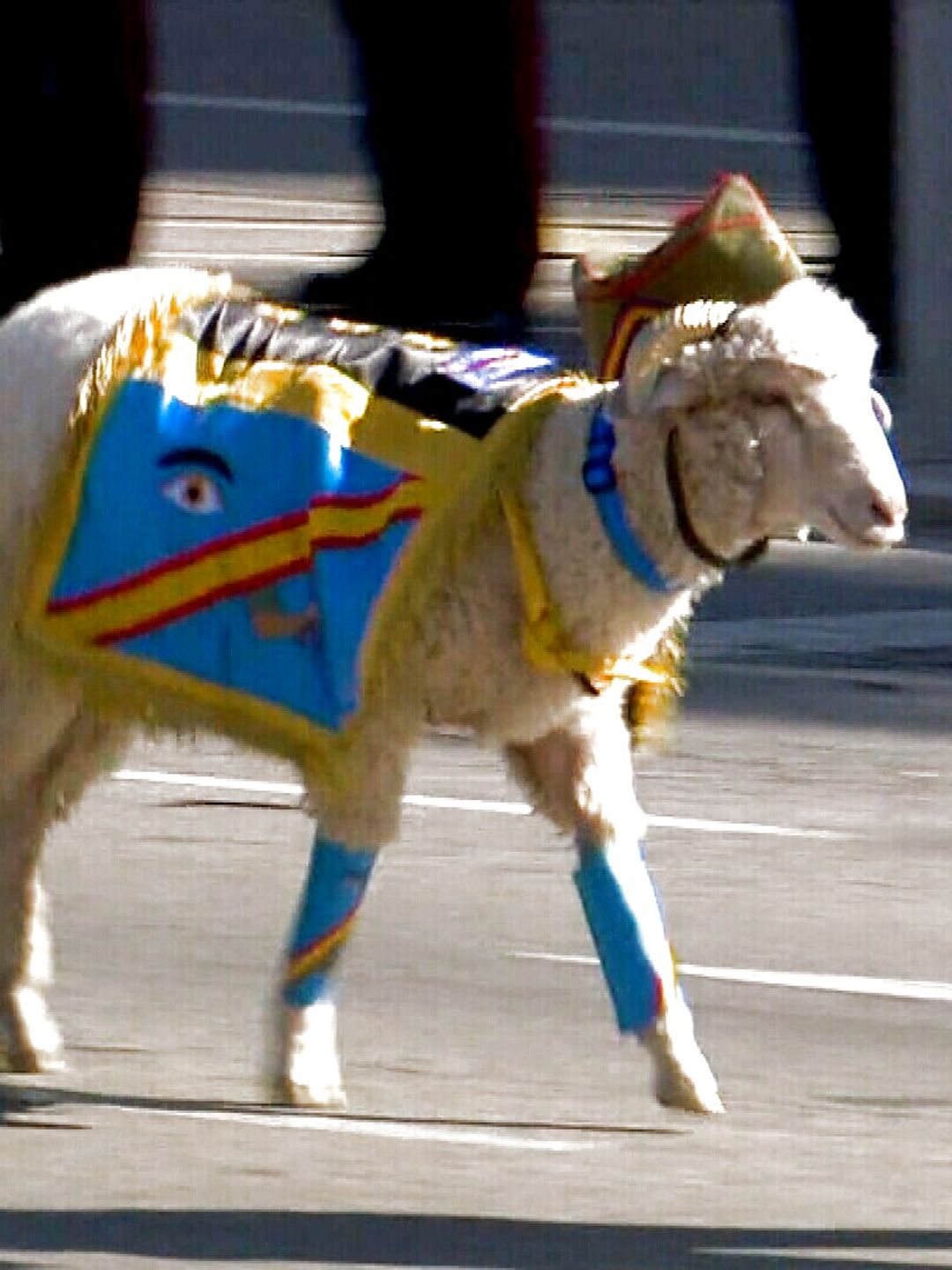 Spaanse mascotte
