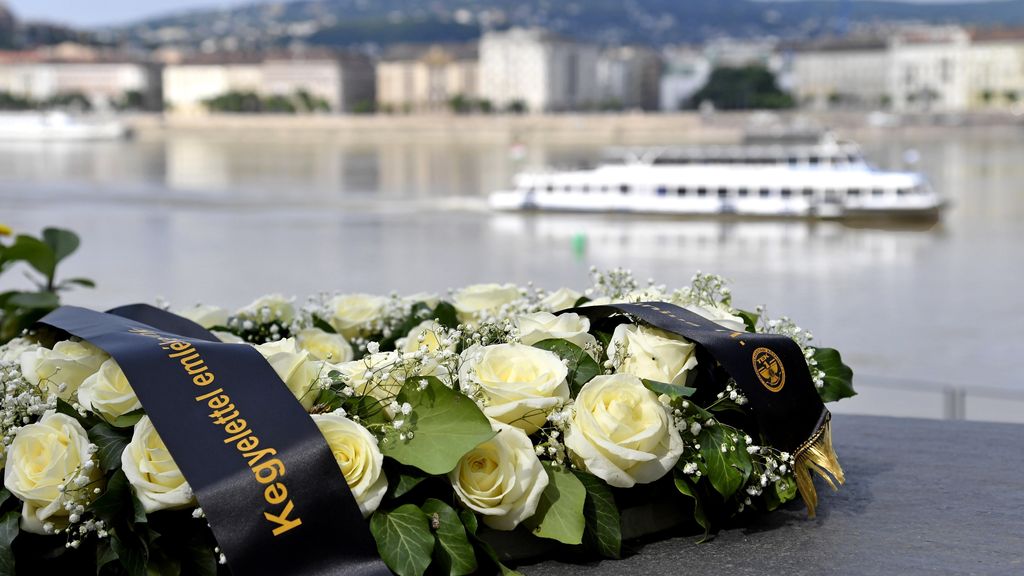 Captain Gets More Than Five Years In Prison For Role In Deadly Danube