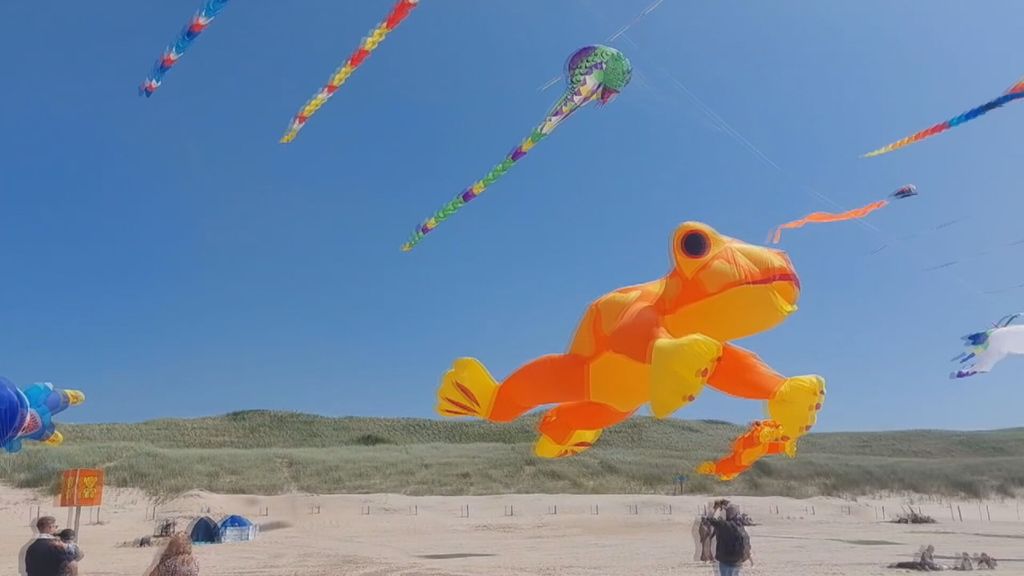 Kleurrijke vliegers in de lucht tijdens festival