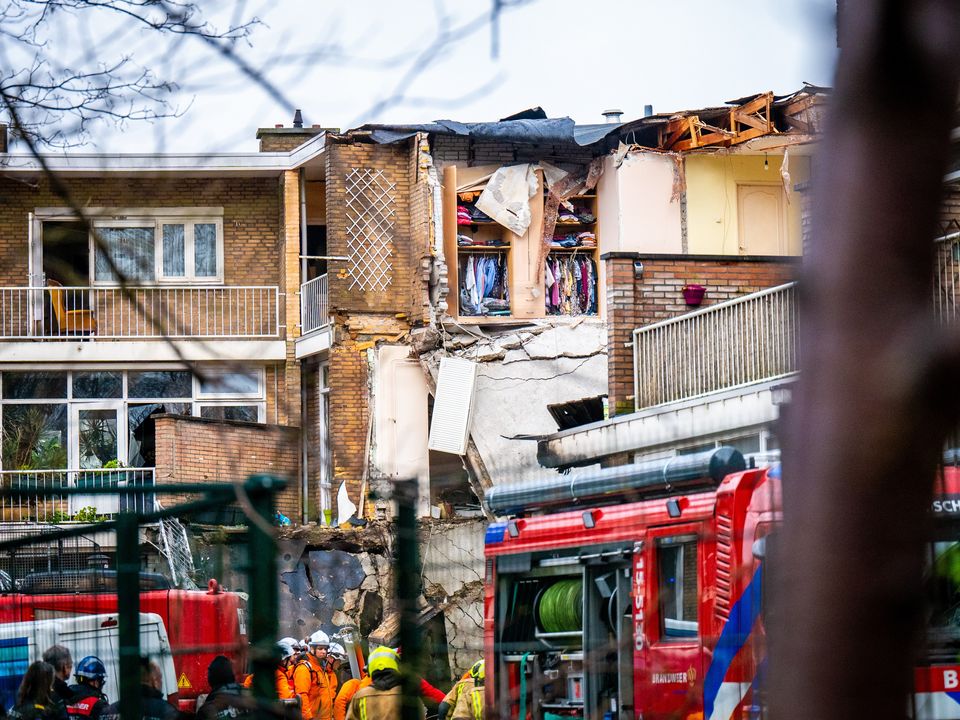 A rare white giraffe calf stands next to its mother at Brights Zoo ⁤in Limestone,⁣ Tennessee.
